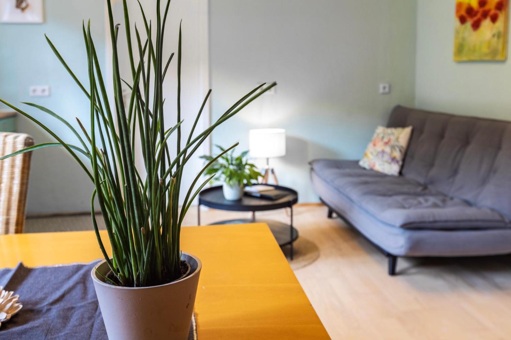 Ferienwohnung Karker 1 Radolfzell am Bodensee Zewnętrze zdjęcie